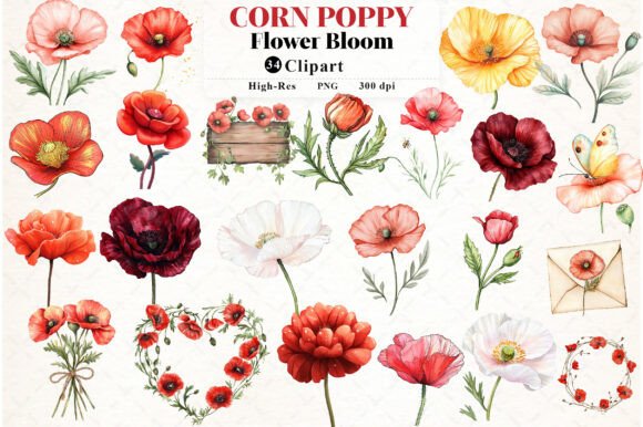 Download Corn Poppy Flower Bloom Clipart - Premium Bundle