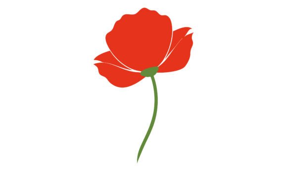 Download Simple Red Poppy Flower Illustration - Poppy flower Collection