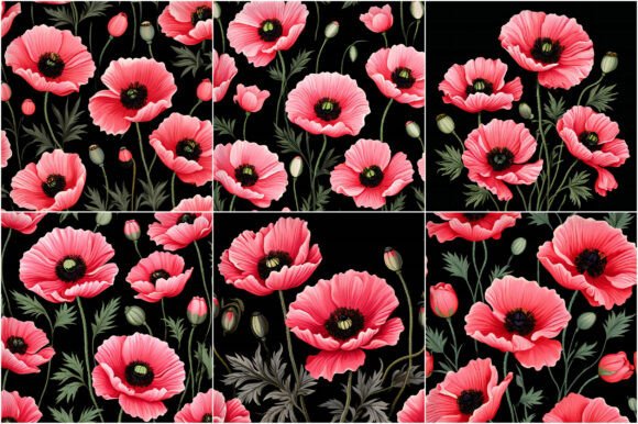 Download Pink Poppy Flower Patterns - Premium Resources